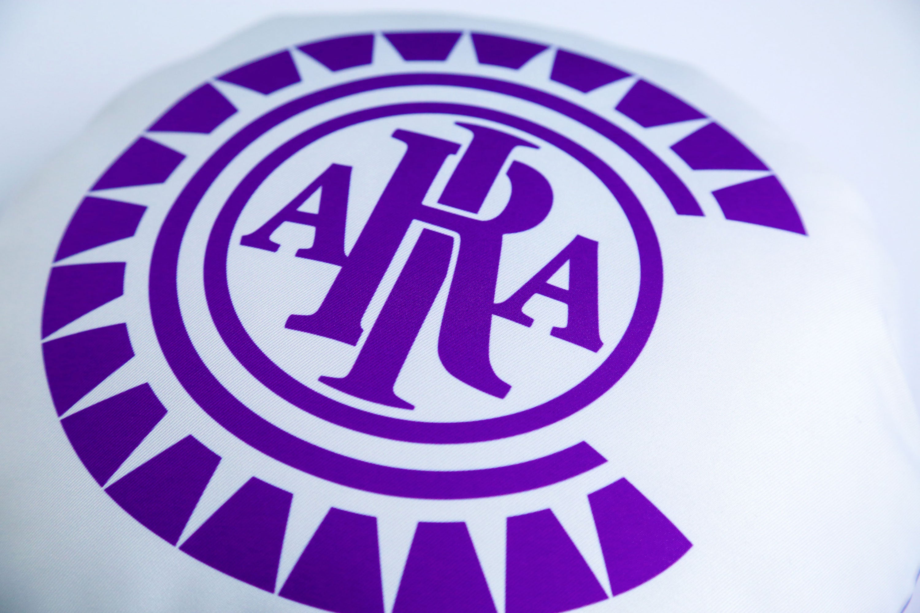Emblem Round Cushion