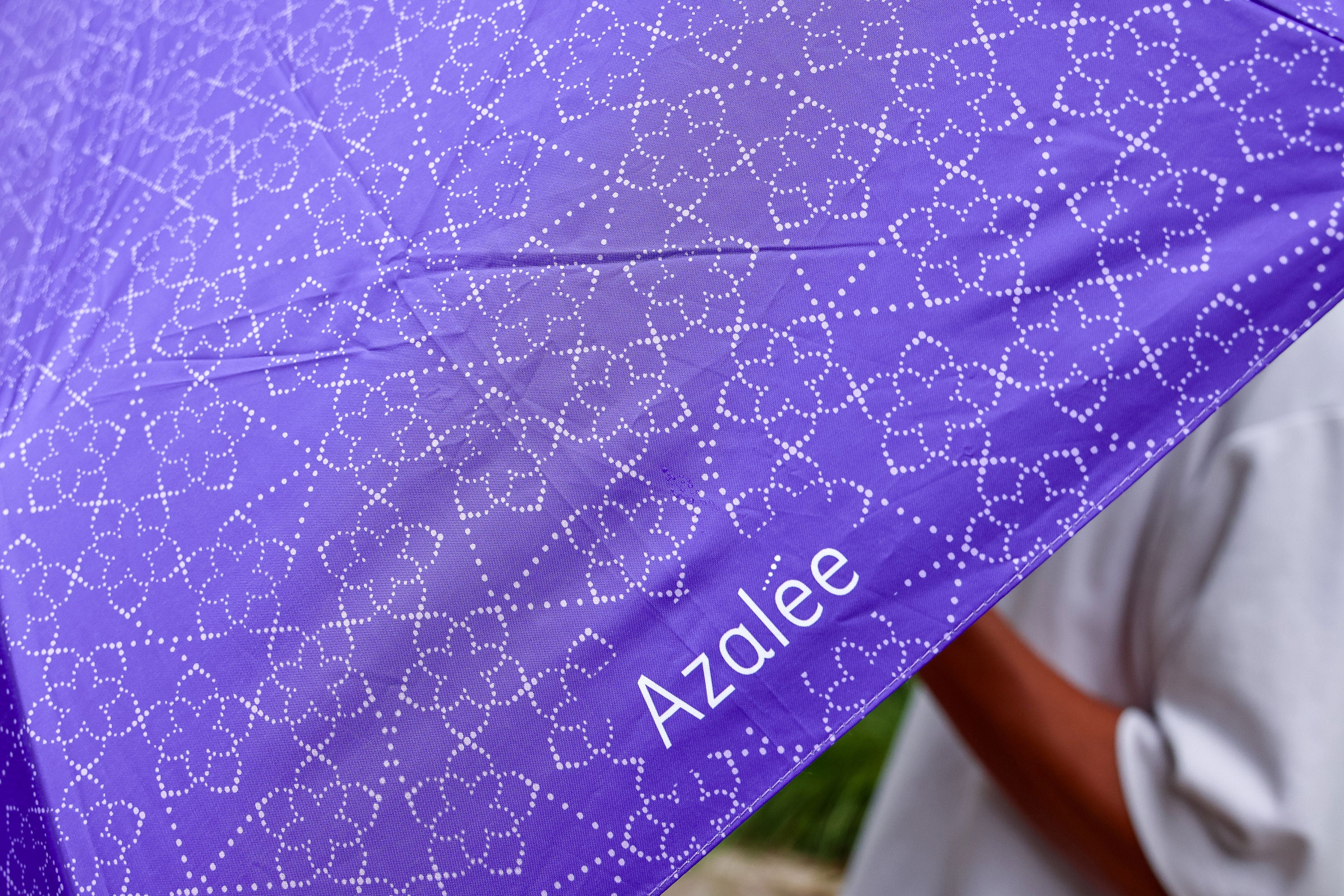 Folding umbrella