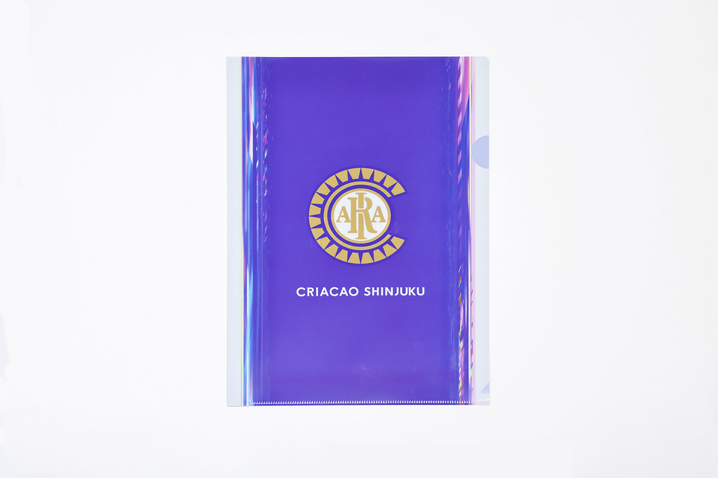 Clear plastic folder (set of 2)