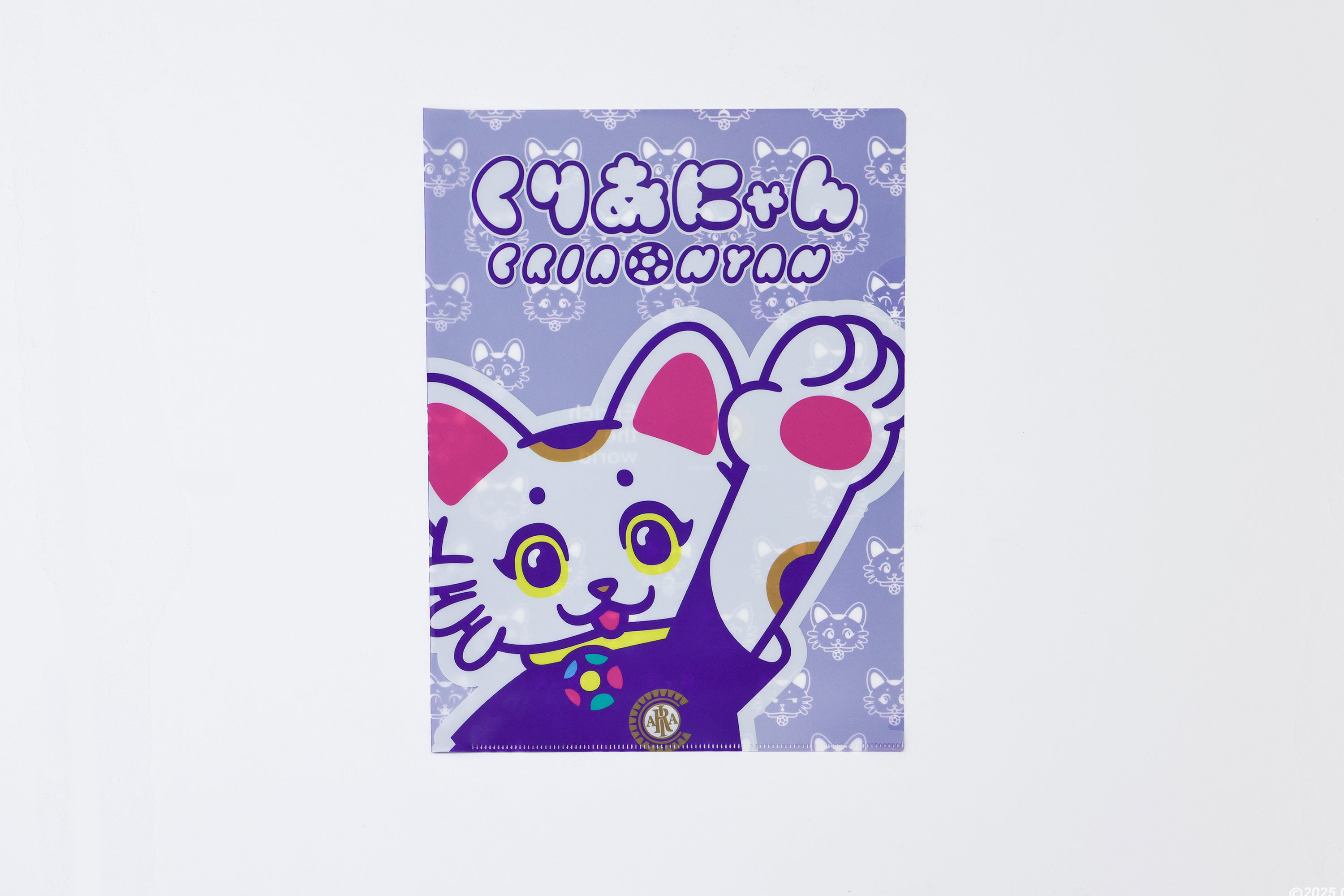 Clear plastic folder (set of 2)