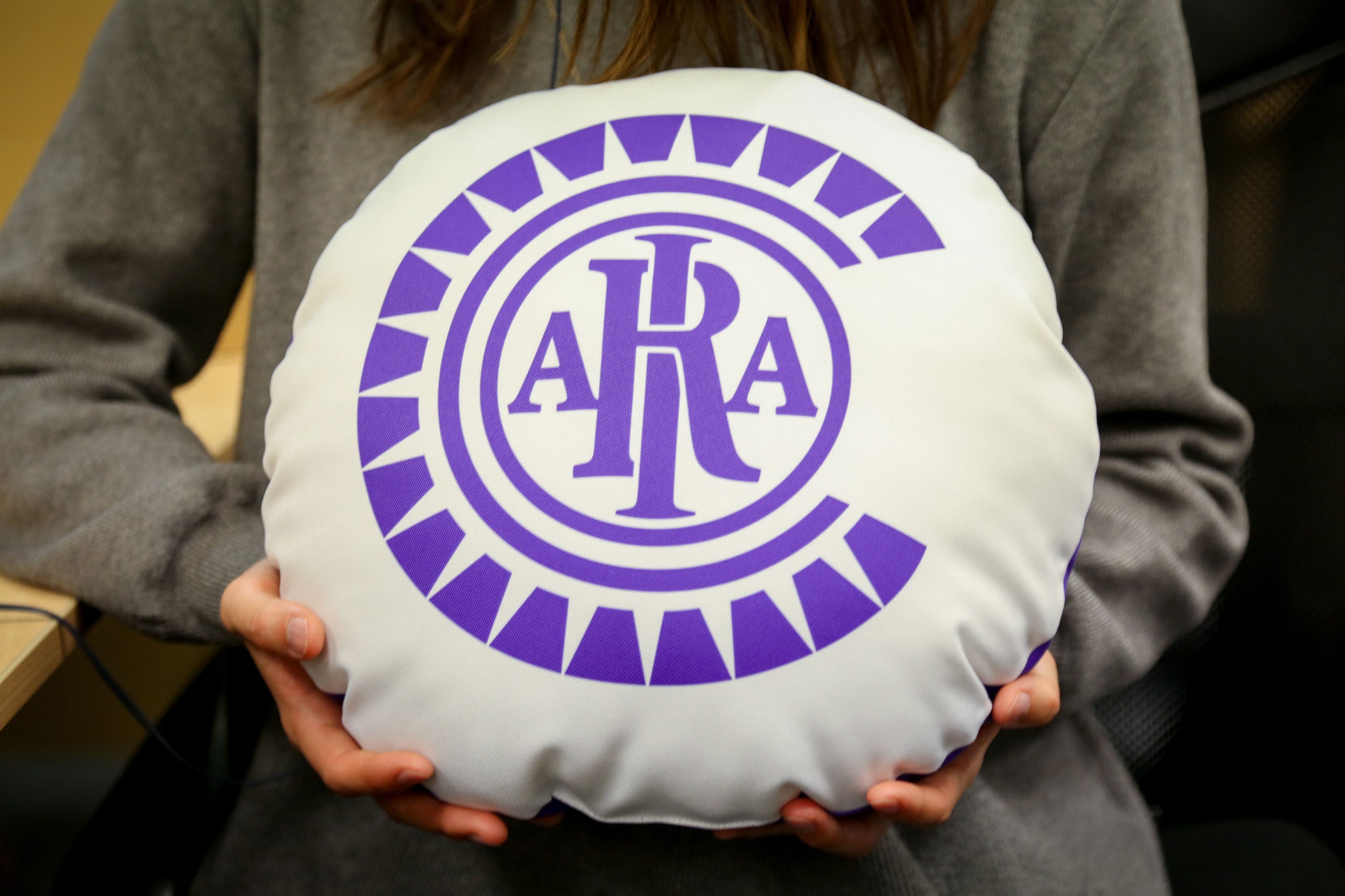 エンブレム丸型クッション